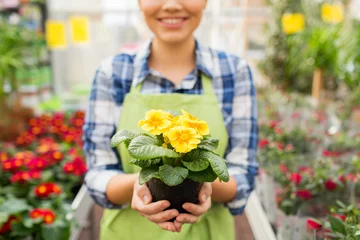 Fotobehang Bloemenwinkel close-up van vrouw met bloemen in kas