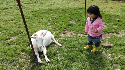 白山羊と少女