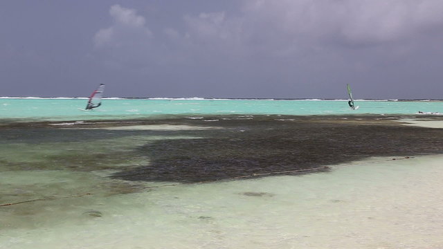 windsurf  Caribbean Sea