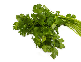 Bunch of coriander