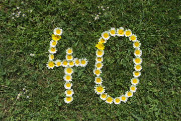 Numeral 40 of blossoms in gras