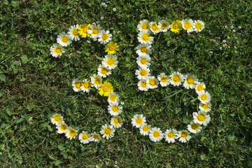 Numeral 35 of blossoms in gras