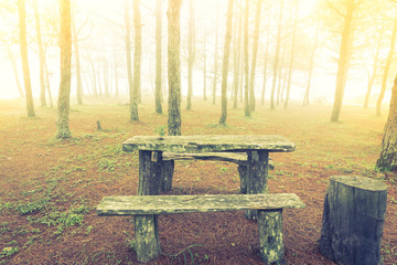 Wood table in forest tree  during a foggy day  ( Filtered image