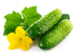 Fresh cucumber in wooden box with green leaf and flower.