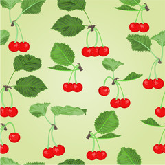 Seamless texture cherry fruits and leaves vector