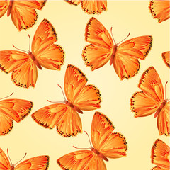 Seamless texture butterfly Lycaena virgaureae vector