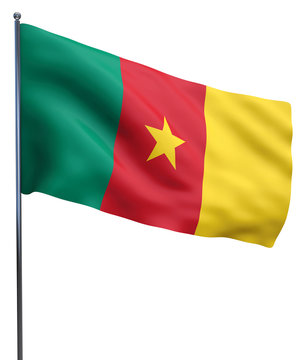 Cameroon Flag Image