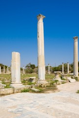 Ruins of ancient Salamis city. Famagusta district. Cyprus