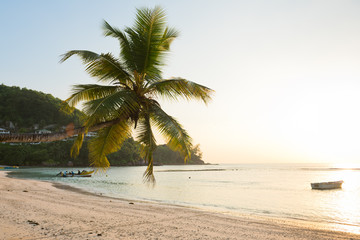 Fototapeta premium Tropical beach at Mahe island Seychelles