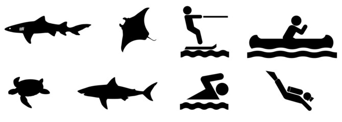 Poissons et activités nautiques en 8 icônes