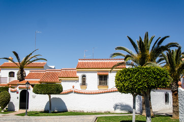 Fototapeta na wymiar Spanisches Wohngebäude mit Palmen in Andalusien