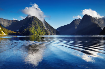 Milford Sound, New Zealand - obrazy, fototapety, plakaty