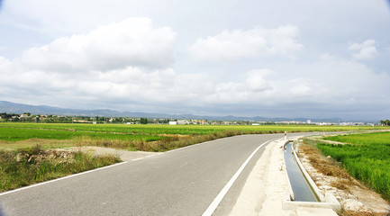 Carretera y canal en las plantaciones de arroz, Delta del Ebro