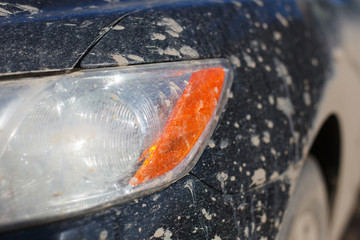 dirty car headlight