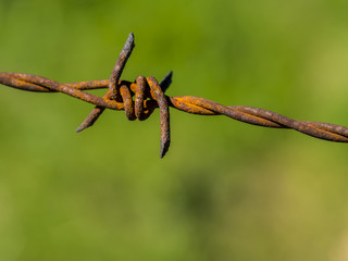 Rostiger Stacheldraht