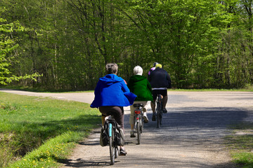 Parcours santé de 4 retraités à vélo en forêt, département de Seine-et-Marne en région Île-de-France, France	