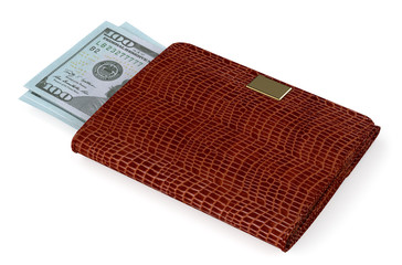 brown leather purse with money