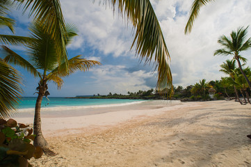Fototapeta na wymiar Palm trees on the Wild tropical caribbean sand beach in