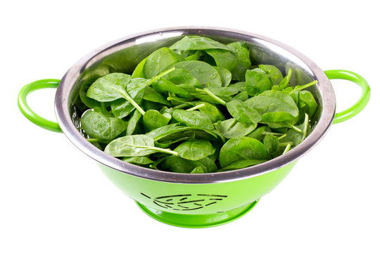 fresh spinach leaves in green colander