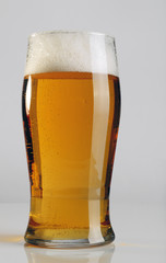 A glass of light beer.