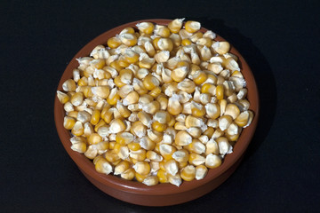 Mais; Zea mays; Maiskoerner;