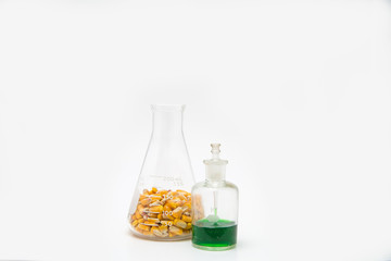 Corn kernels in an erlenmeyer flask with a dropper bottle ready