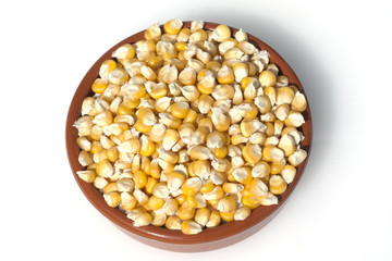 Mais; Zea mays; Maiskoerner;