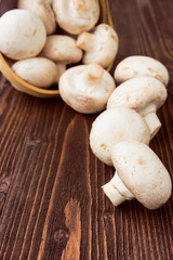 Fresh white champignons on dark wooden table