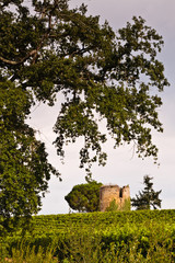 Bourrouillan (Gers)