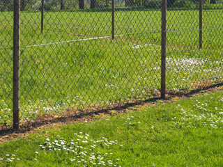 Wiesengrundstück © focus finder