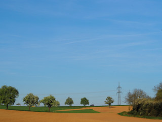 Landschaft mit Obstbäumen und Strommast