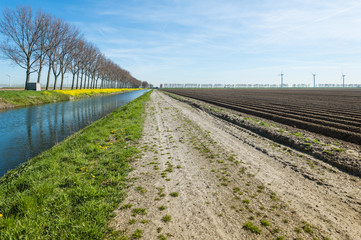 Colorful Dutch rural landscape in the early spring season