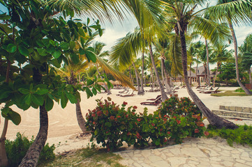 Fototapeta premium Relaxing on remote Tropical Paradise beach in Dominican Republic