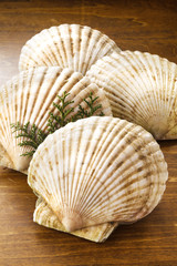 ほたて　帆立　Scallops