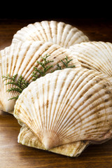 ほたて　帆立　Scallops
