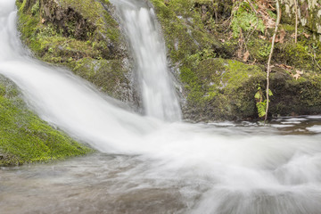 Obraz premium Misty Woodland Waterfall