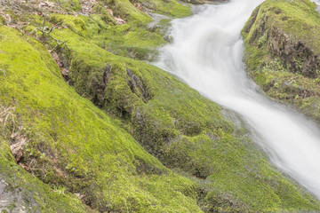Misty Woodland Waterfall