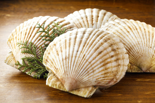 ほたて　帆立　Scallops