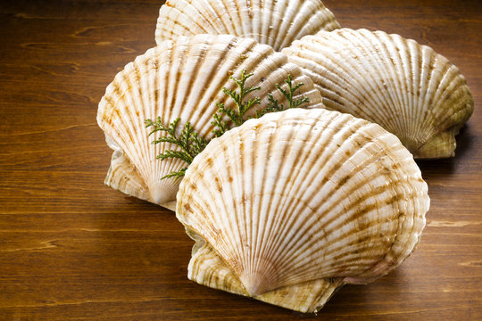 ほたて　帆立　Scallops