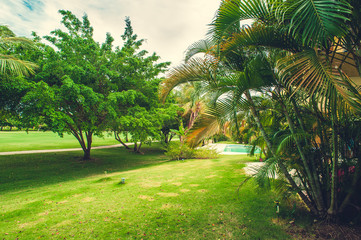 Green exotic garden. dominican republic. Pathway in tropical