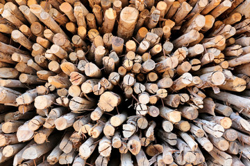 construction timber.