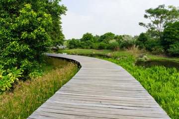 Fototapeta na wymiar Wooden bridge in tropical rain forest