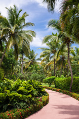 Obraz na płótnie Canvas Green exotic garden. dominican republic. Pathway in tropical