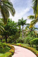 Obraz premium Green exotic garden. dominican republic. Pathway in tropical