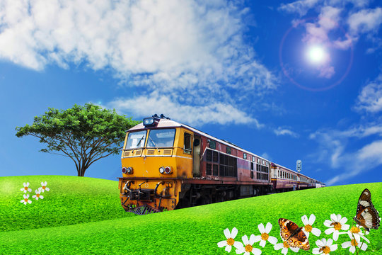 Train Passes Through The Green Meadow