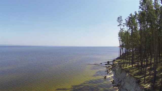 Sandy coast of lake with trees . Aerial shot