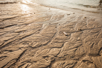 Shoreline at sunset