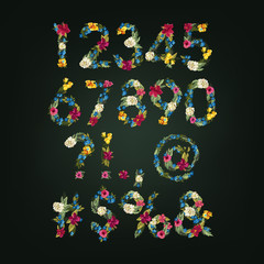Numbers, Vector Colorful Flower Font
