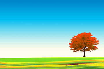 Obraz na płótnie Canvas The big tree in autum season