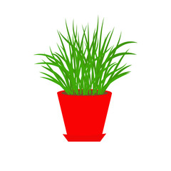 Grass in red flower pot Growing Icon Isolated Flat 